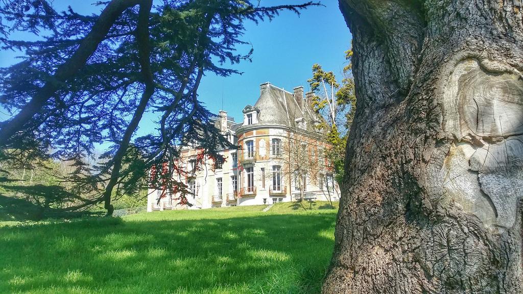 Chateau De Chantore Bacilly Exterior foto