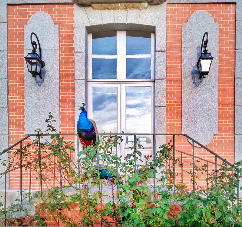 Chateau De Chantore Bacilly Exterior foto